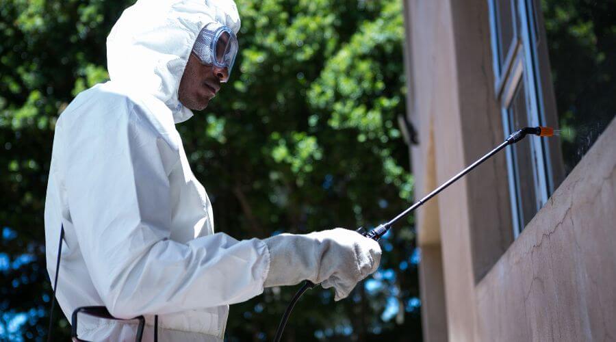 Why choose Pigeon Control Systems Elwood for pigeon control systems in Elwood